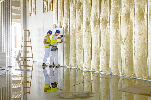 Best Commercial Insulation in Lufkin, TX